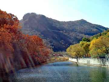 新澳天天开奖资料大全旅游团，根雕茶盘价格